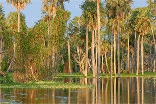clima formosa